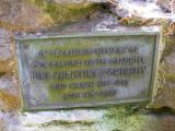 image of grave number 45645